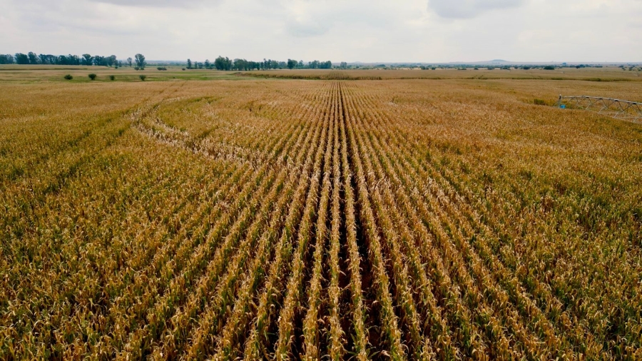 8 Bedroom Property for Sale in Bloemfontein Rural Free State